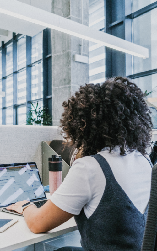 White Squires Insights Office